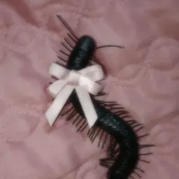 centipede_princess