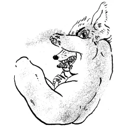 hellahag