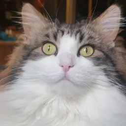 Danny