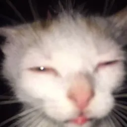 Emberlee