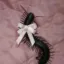 centipede_princess
