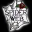 🕷️SPIDER WEB🕸️