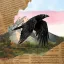 Corbin The Raven Boy