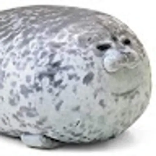 Elo K