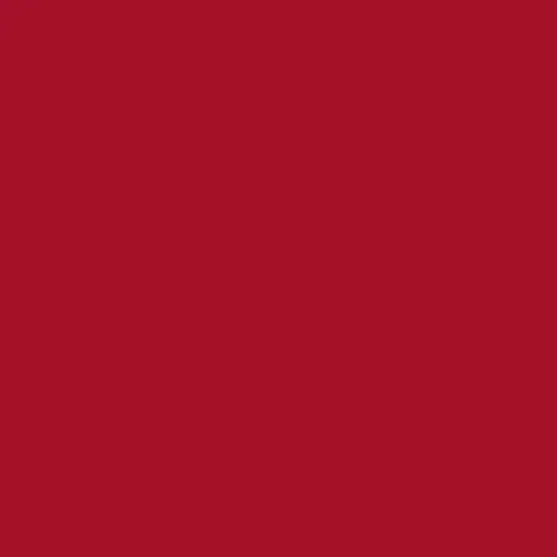 sofiacintra13