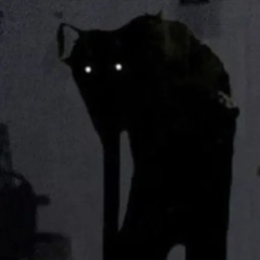 Caine
