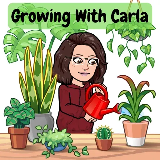 Carla