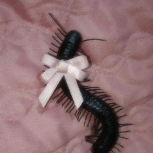 centipede_princess