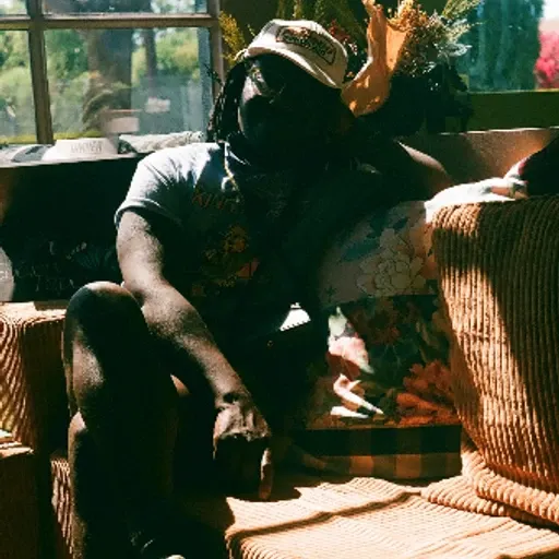 whosejacketisthis