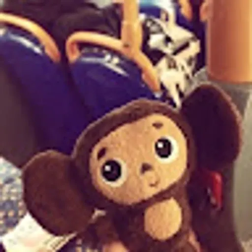 Daya T