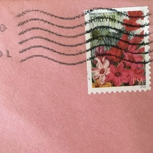 NJ