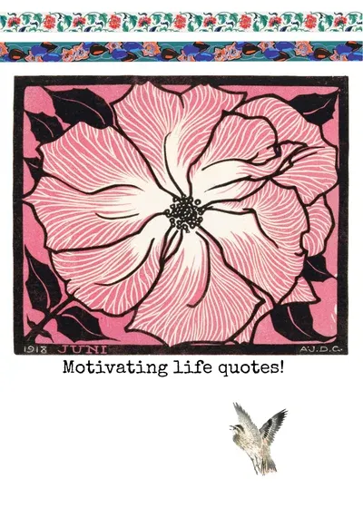 Quotes