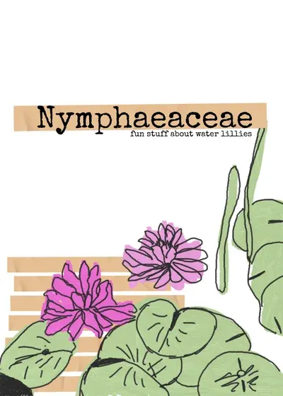 Nymphaeaceae 