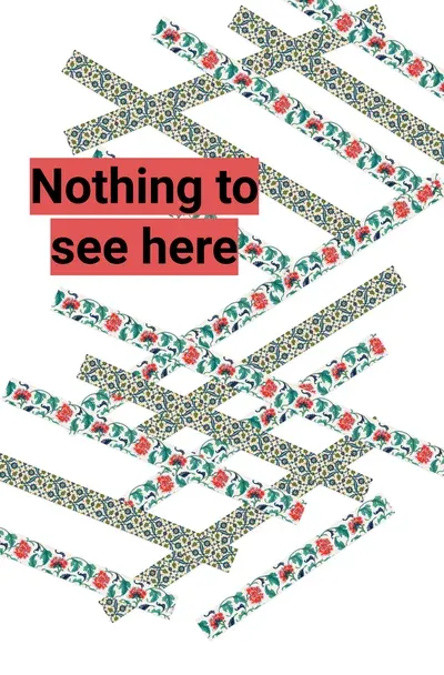 Nothing to see here