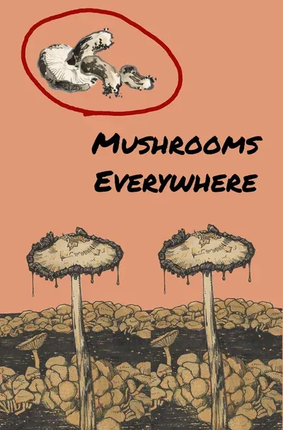Mushrooms Everywhere