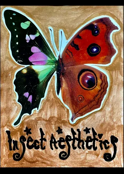 Insect Aesthetics