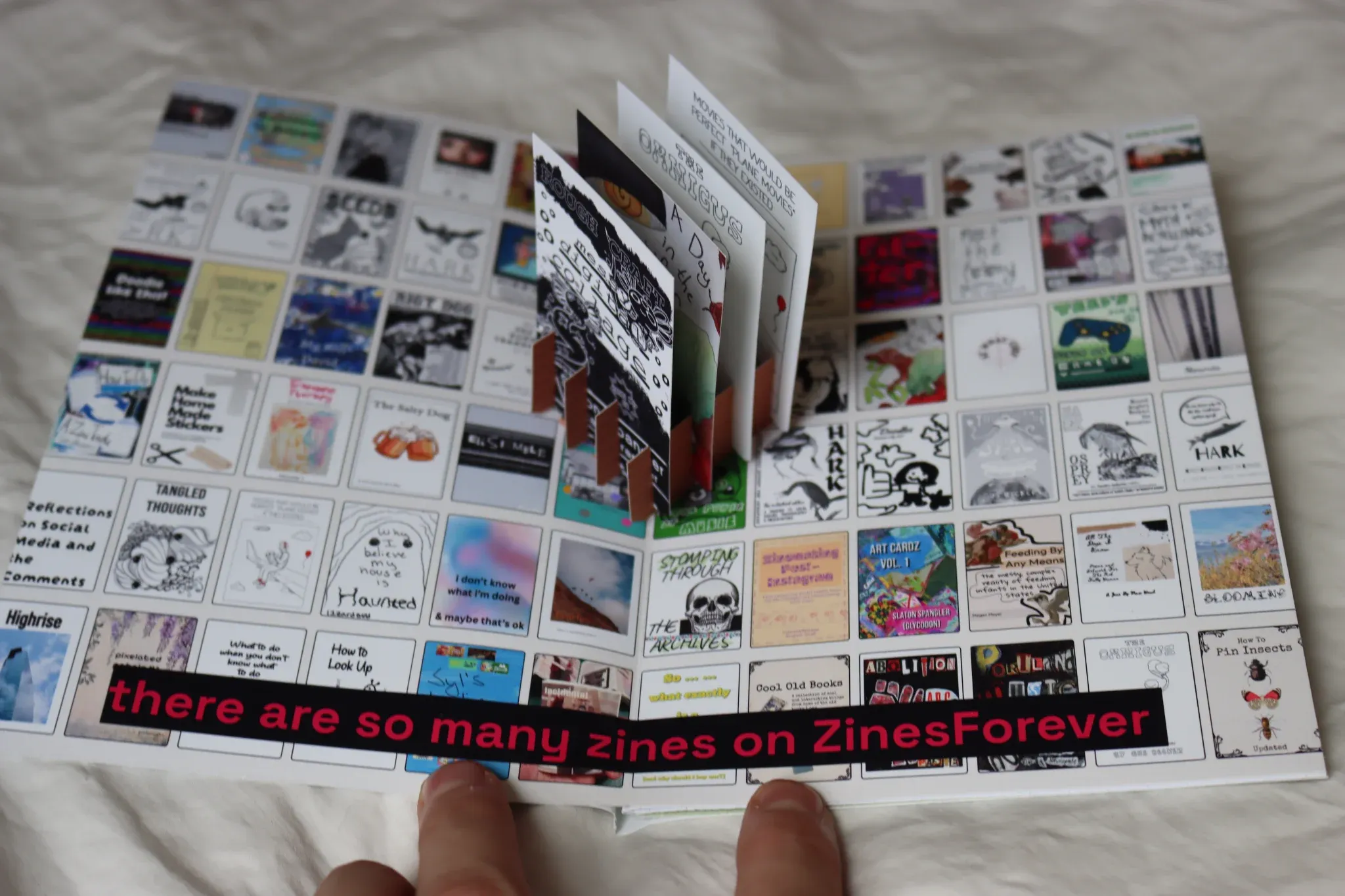 Photo 2 from Zinesforever.com (a website)