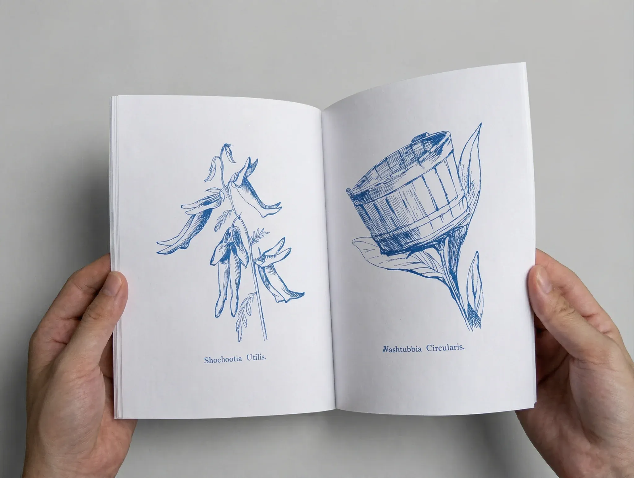 Photo 3 from Nonsense Pictures - Edward Lear (Flipping Wind Artchive)