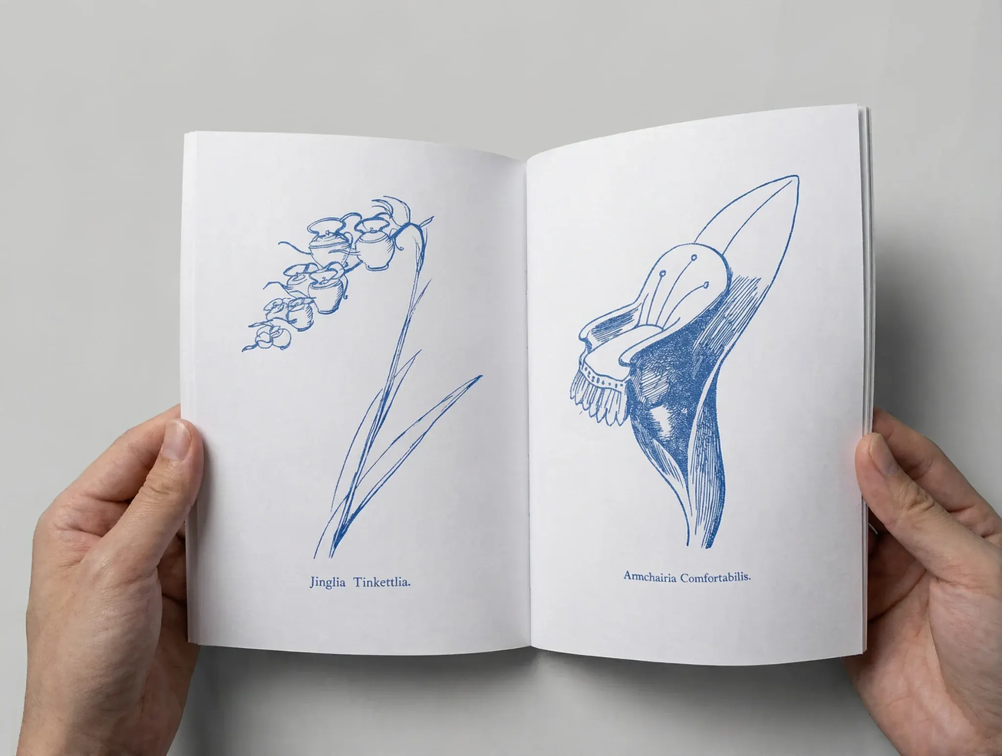 Photo 6 from Nonsense Pictures - Edward Lear (Flipping Wind Artchive)