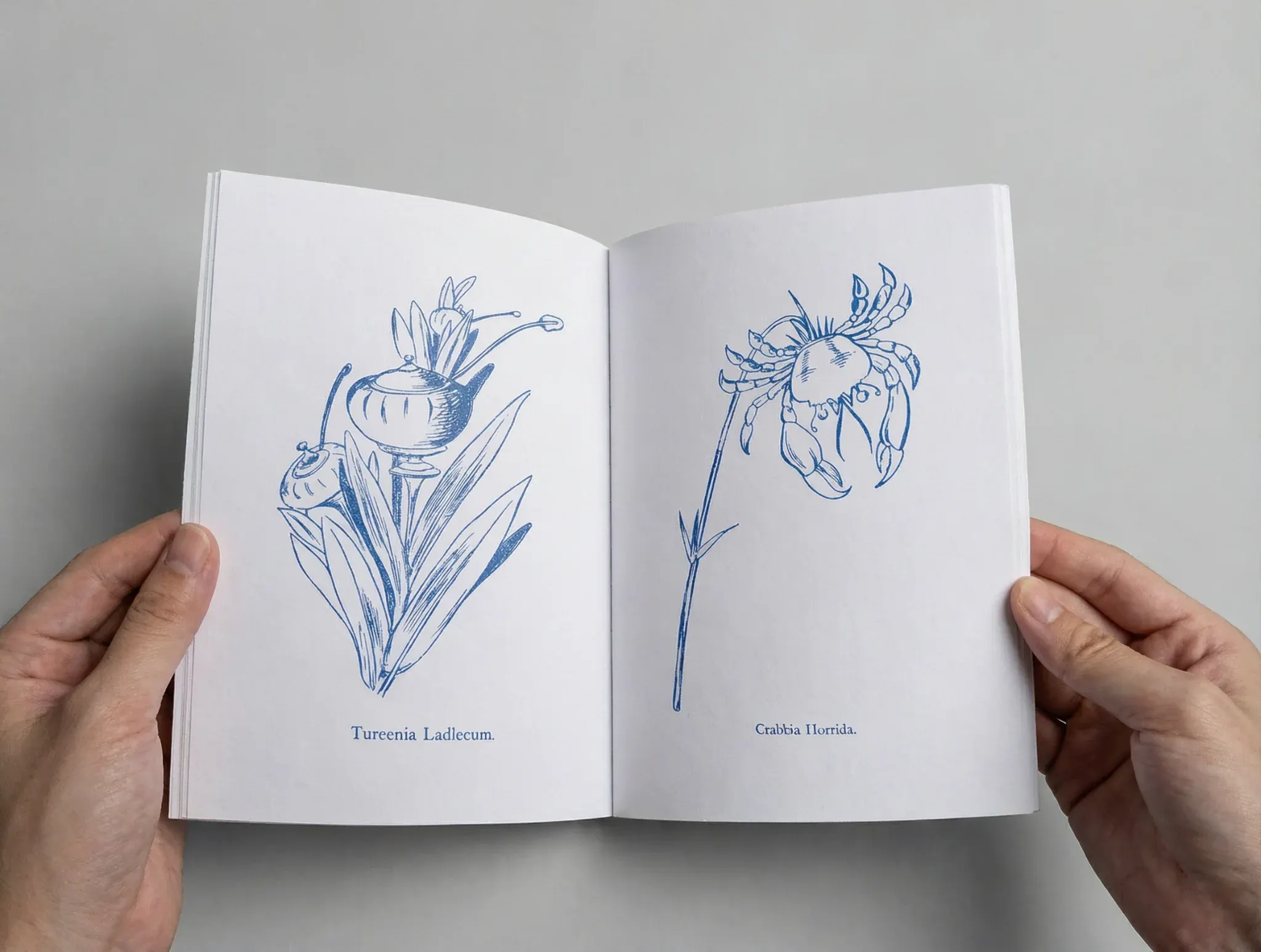 Photo 5 from Nonsense Pictures - Edward Lear (Flipping Wind Artchive)