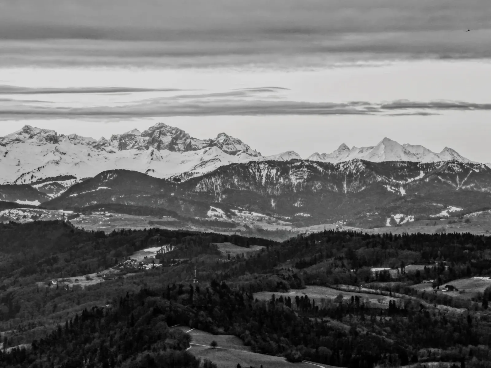 Martin Splitt's header