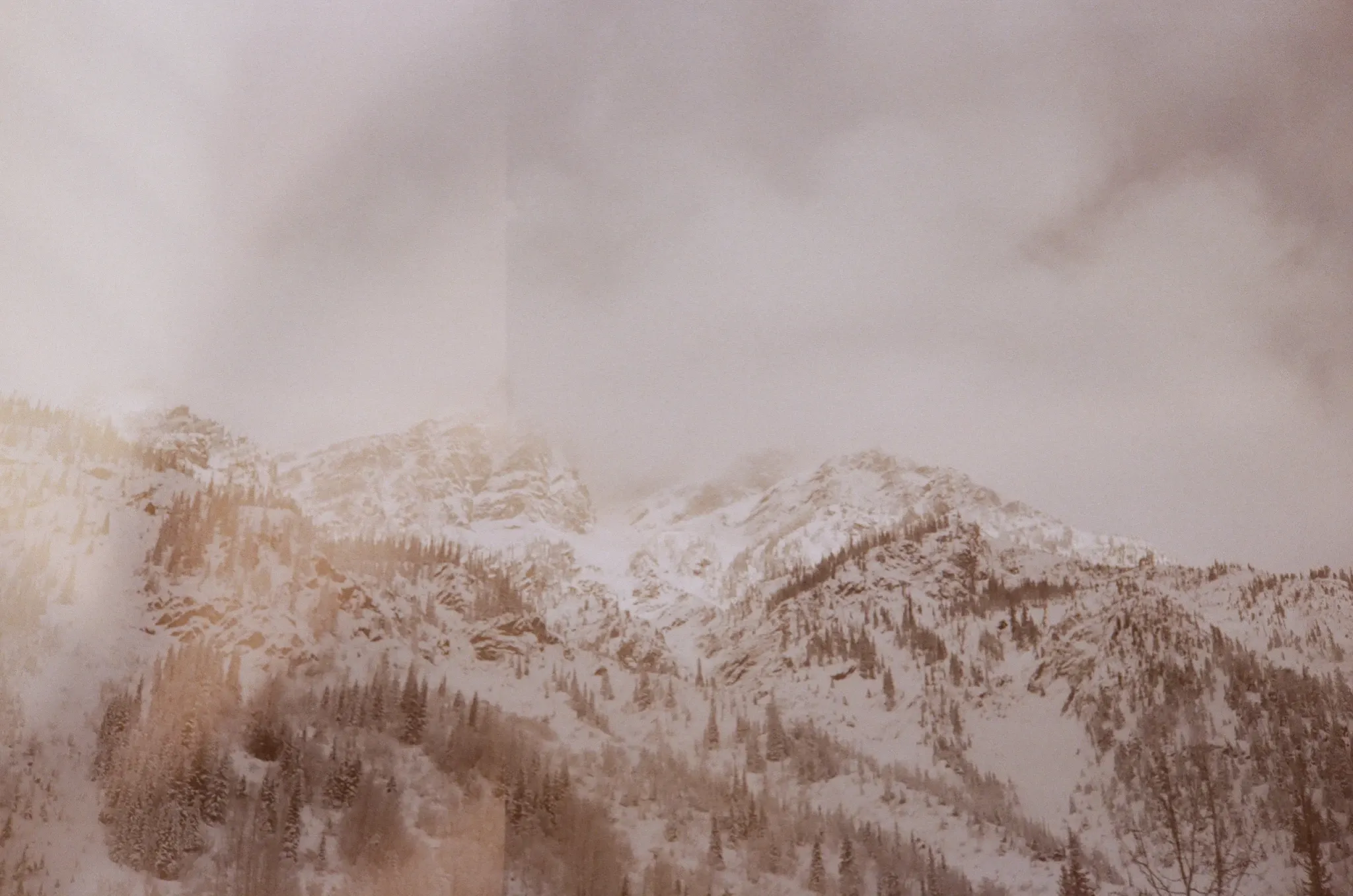 Jake Peterson's header