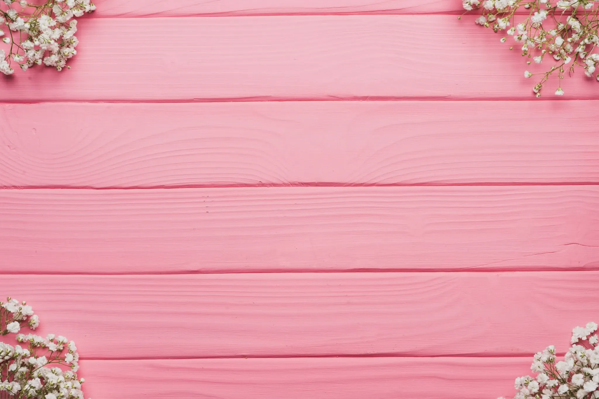 Pink Rot's header