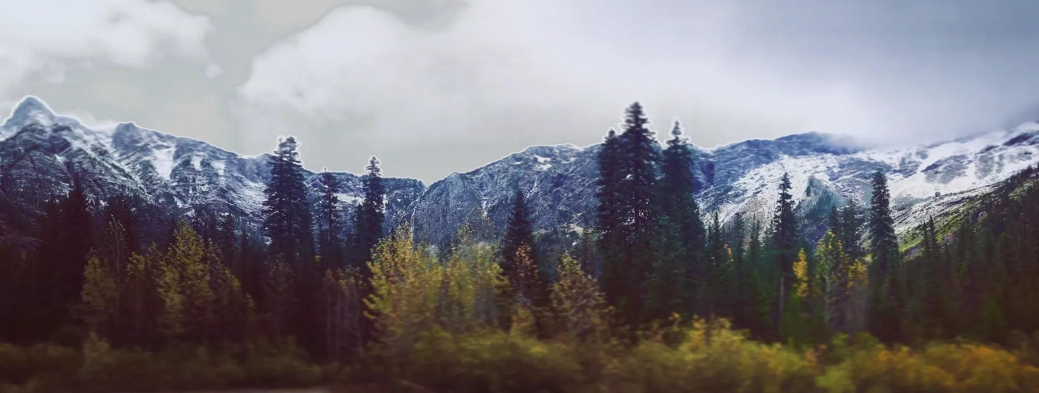 ChefDylz's header