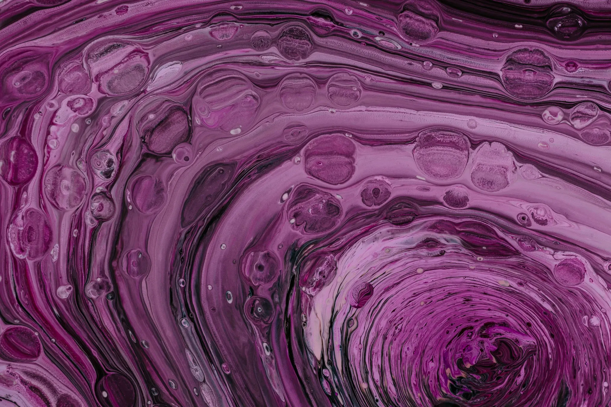 Lemmy's header