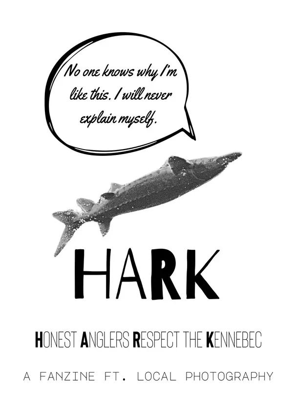 HARK (v1): THE RIVER 