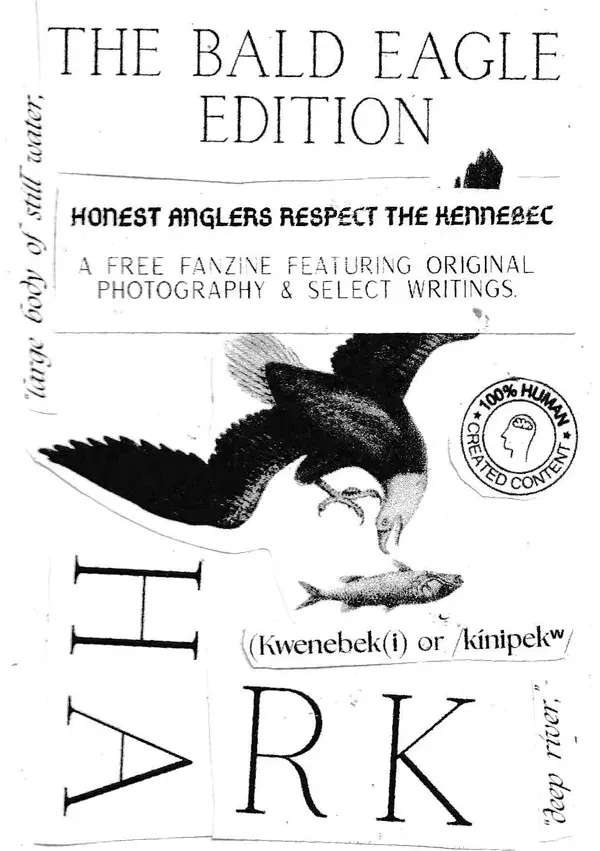 HARK (v4): BALD EAGLES [COLLAGE]