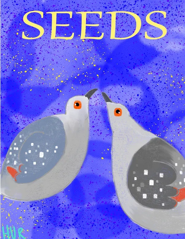 SEEDS!  Featuring the two tiny diamond doves Crow and Dell.