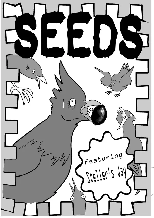 SEEDS : Steller's Jay 