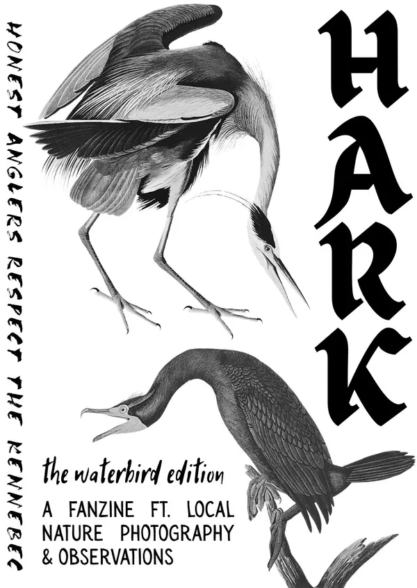 HARK (v3): WATERBIRDS
