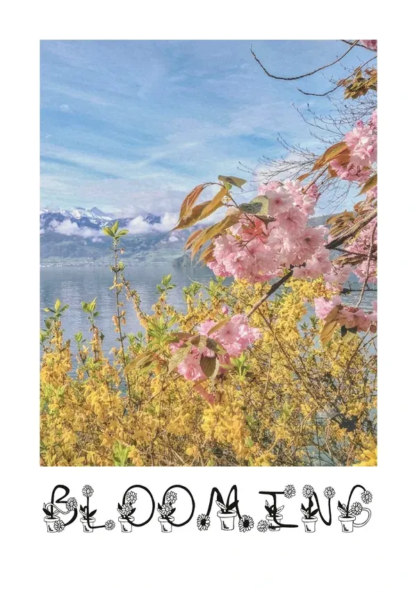 Blooming