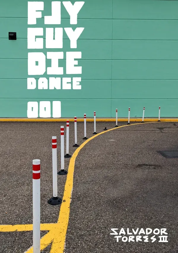 FlyGuyDieDance Vol. 01