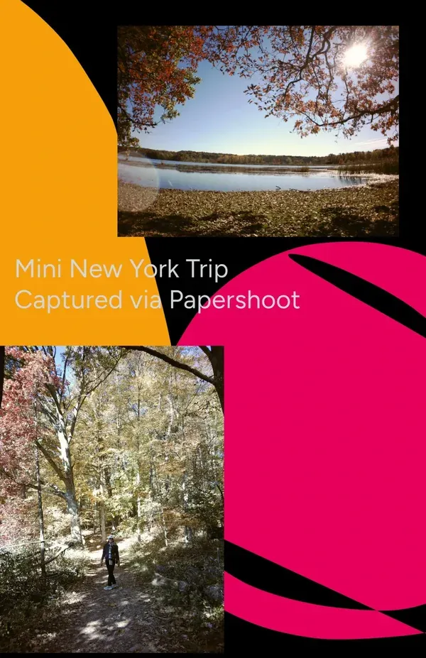 Our Mini NY Trip